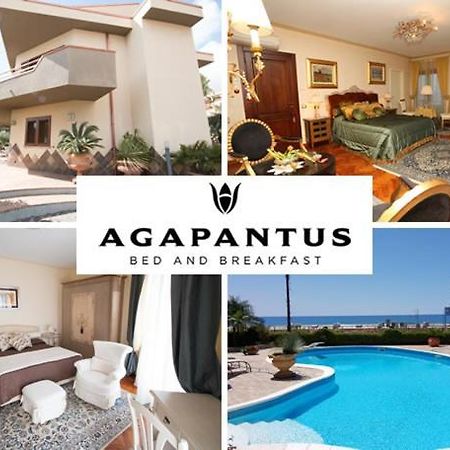 Agapantus Bed&Breakfast Bed & Breakfast Diamante Bagian luar foto