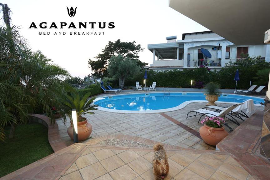 Agapantus Bed&Breakfast Bed & Breakfast Diamante Bagian luar foto